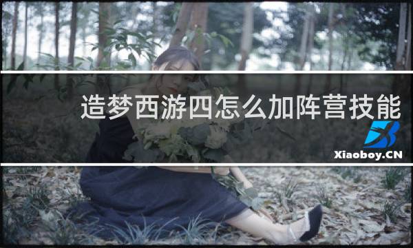 造梦西游四怎么加阵营技能