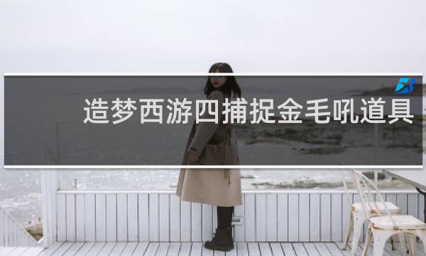造梦西游四捕捉金毛吼道具