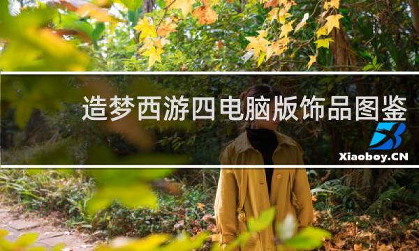 造梦西游四电脑版饰品图鉴