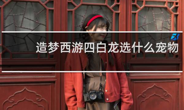 造梦西游四白龙选什么宠物