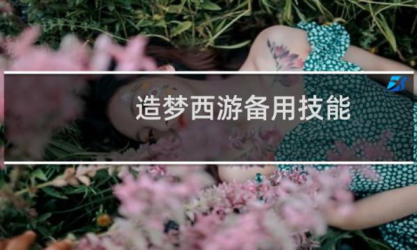 造梦西游备用技能