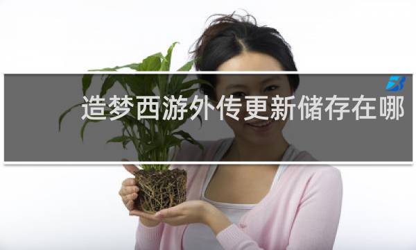 造梦西游外传更新储存在哪