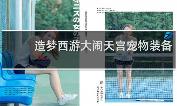 造梦西游大闹天宫宠物装备