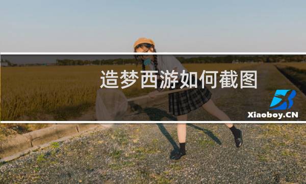 造梦西游如何截图