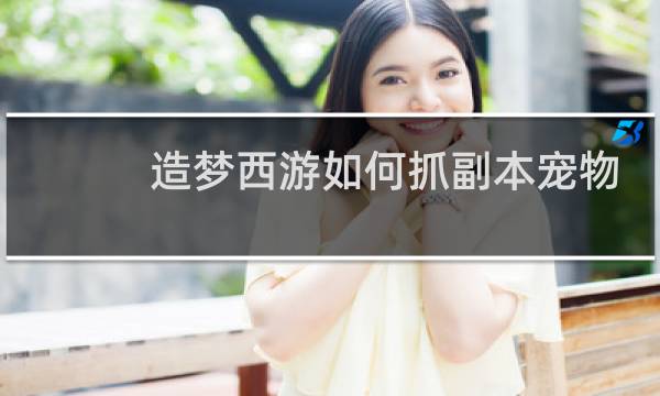 造梦西游如何抓副本宠物