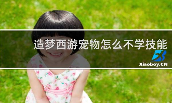 造梦西游宠物怎么不学技能