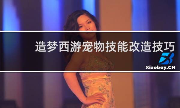 造梦西游宠物技能改造技巧