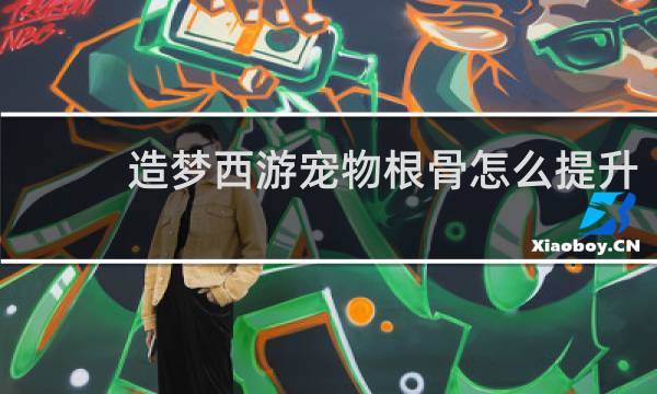 造梦西游宠物根骨怎么提升