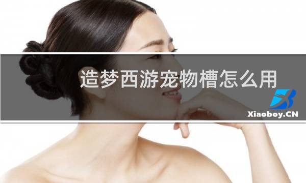 造梦西游宠物槽怎么用