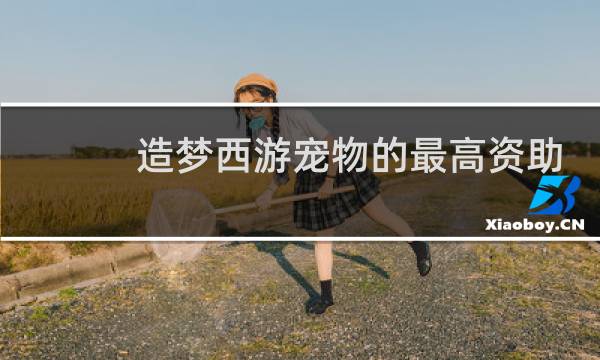 造梦西游宠物的最高资助