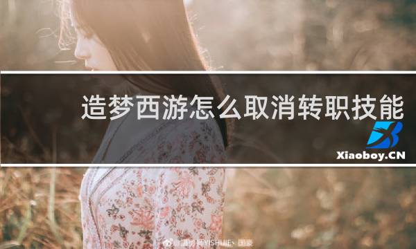 造梦西游怎么取消转职技能