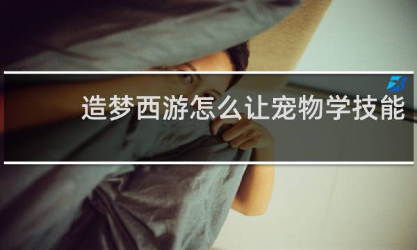 造梦西游怎么让宠物学技能