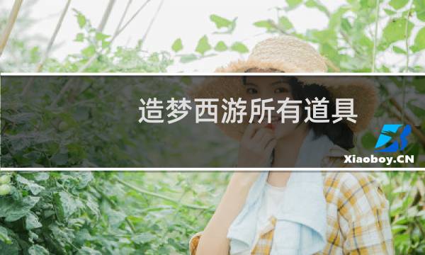 造梦西游所有道具