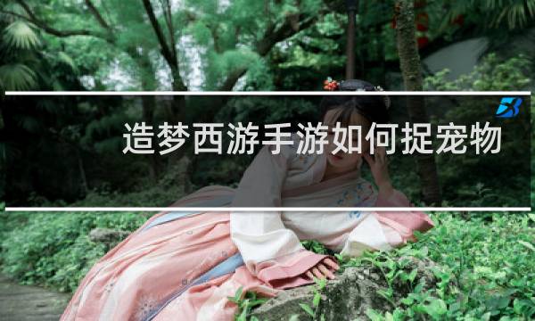 造梦西游手游如何捉宠物