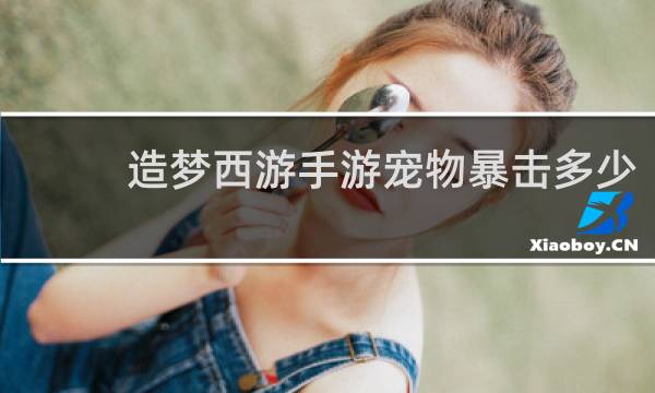 造梦西游手游宠物暴击多少