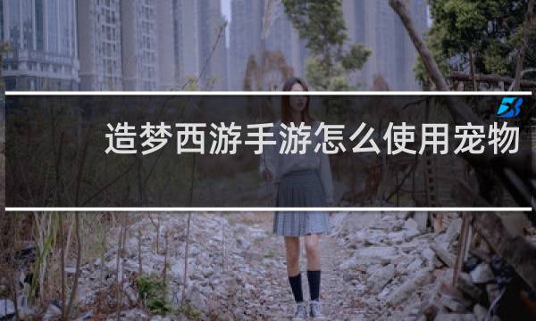 造梦西游手游怎么使用宠物