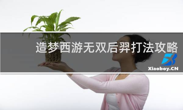 造梦西游无双后羿打法攻略