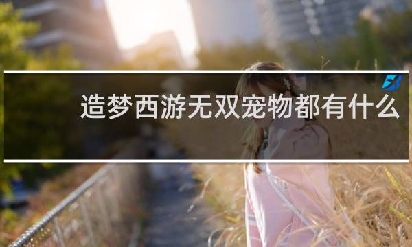 造梦西游无双宠物都有什么