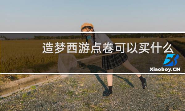 造梦西游点卷可以买什么