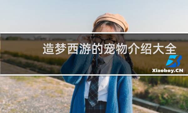 造梦西游的宠物介绍大全