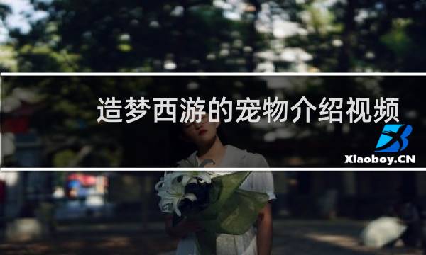 造梦西游的宠物介绍视频