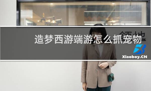 造梦西游端游怎么抓宠物
