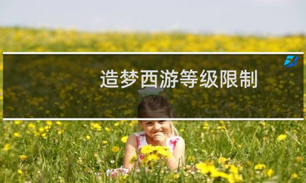 造梦西游等级限制
