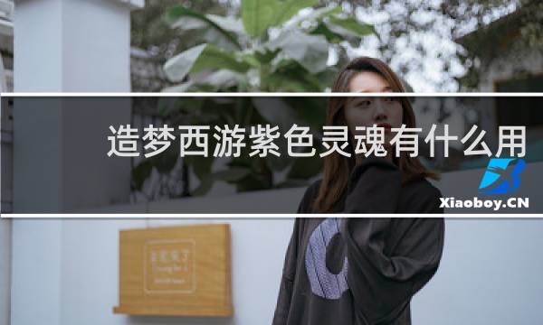 造梦西游紫色灵魂有什么用