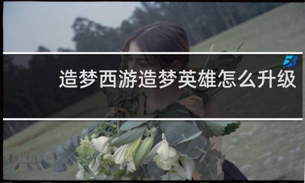 造梦西游造梦英雄怎么升级