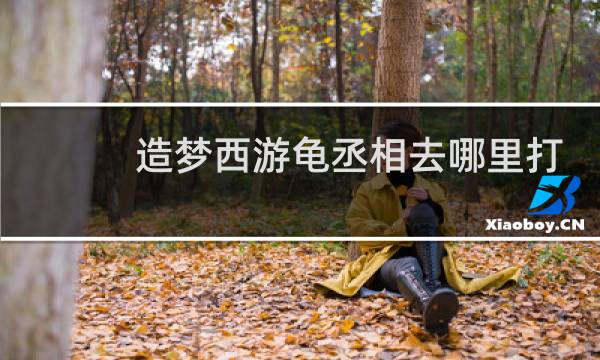 造梦西游龟丞相去哪里打