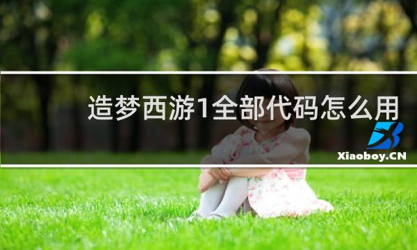 造梦西游1全部代码怎么用