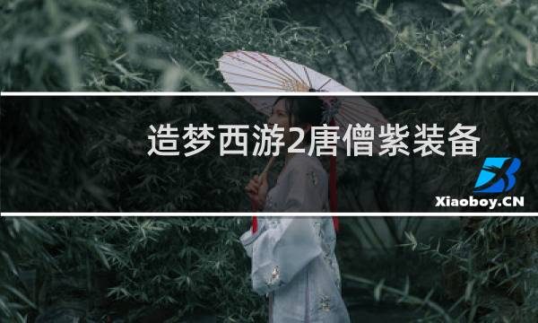 造梦西游2唐僧紫装备