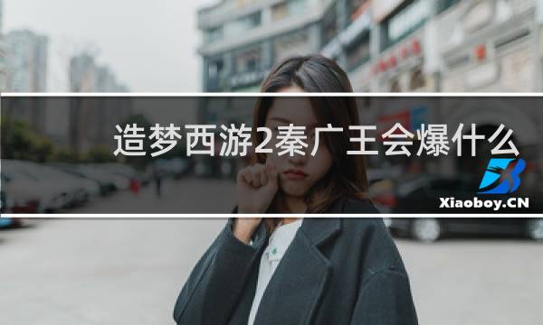 造梦西游2秦广王会爆什么