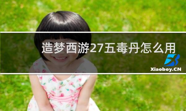 造梦西游27五毒丹怎么用
