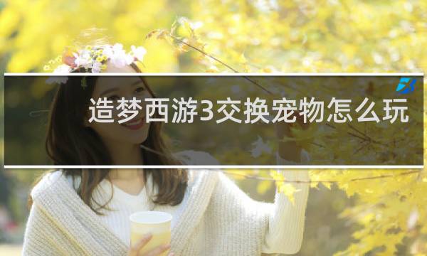 造梦西游3交换宠物怎么玩