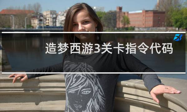 造梦西游3关卡指令代码