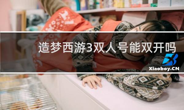 造梦西游3双人号能双开吗