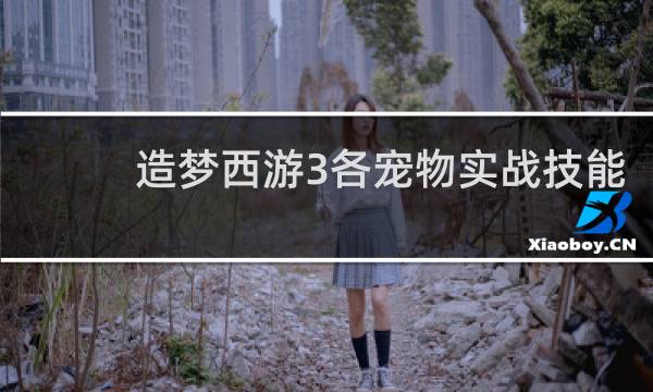 造梦西游3各宠物实战技能