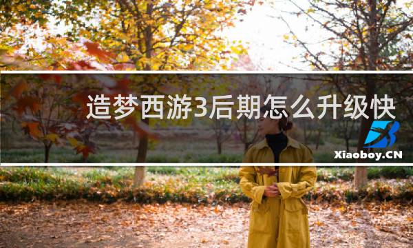 造梦西游3后期怎么升级快