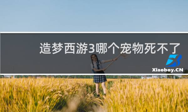 造梦西游3哪个宠物死不了