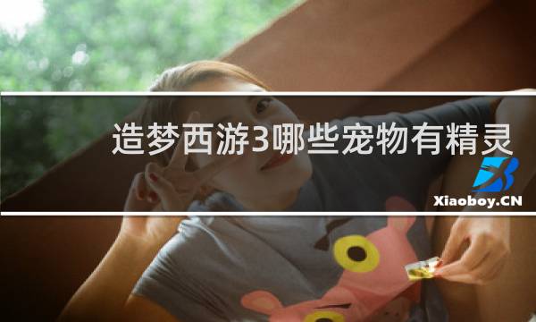 造梦西游3哪些宠物有精灵