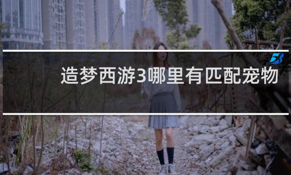 造梦西游3哪里有匹配宠物