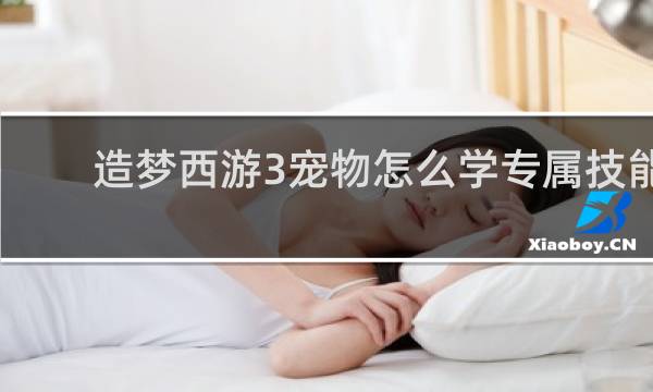造梦西游3宠物怎么学专属技能