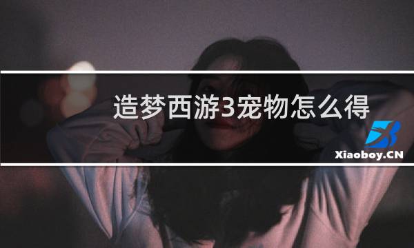 造梦西游3宠物怎么得