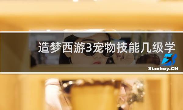 造梦西游3宠物技能几级学