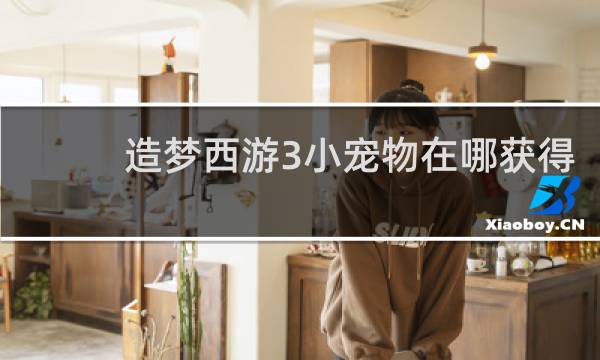 造梦西游3小宠物在哪获得