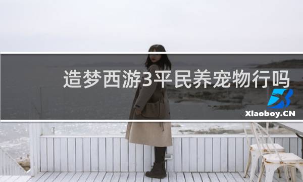 造梦西游3平民养宠物行吗