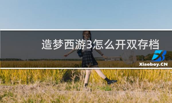 造梦西游3怎么开双存档