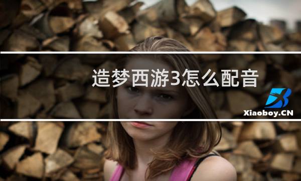 造梦西游3怎么配音