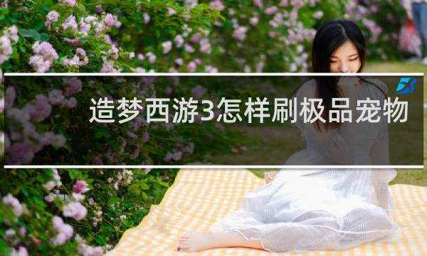 造梦西游3怎样刷极品宠物